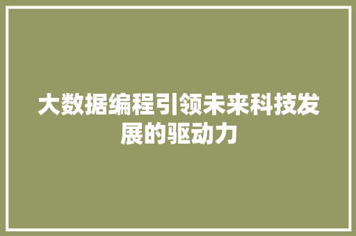 大数据编程引领未来科技发展的驱动力