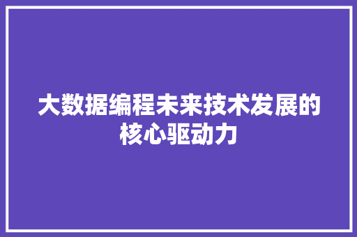 大数据编程未来技术发展的核心驱动力