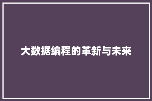 大数据编程的革新与未来