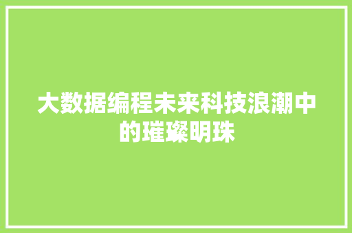 大数据编程未来科技浪潮中的璀璨明珠