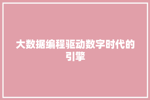 大数据编程驱动数字时代的引擎