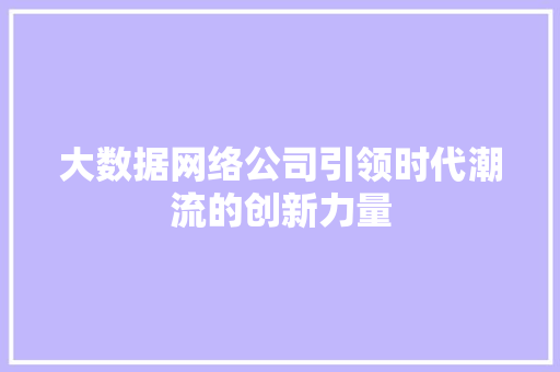 大数据网络公司引领时代潮流的创新力量