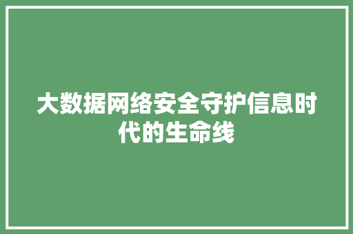 大数据网络安全守护信息时代的生命线