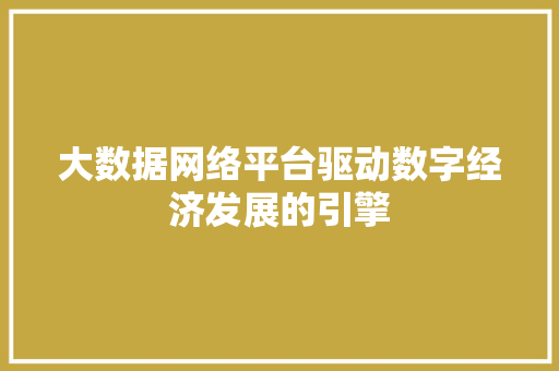 大数据网络平台驱动数字经济发展的引擎