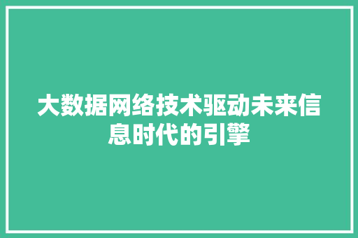 大数据网络技术驱动未来信息时代的引擎