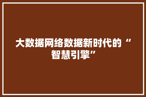 大数据网络数据新时代的“智慧引擎”