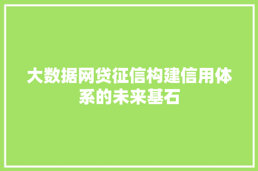 大数据网贷征信构建信用体系的未来基石