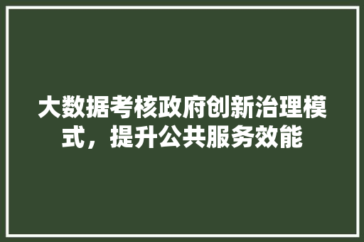 大数据考核政府创新治理模式，提升公共服务效能