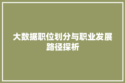 大数据职位划分与职业发展路径探析