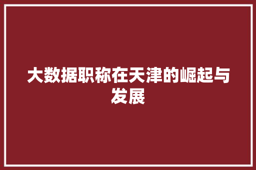 大数据职称在天津的崛起与发展