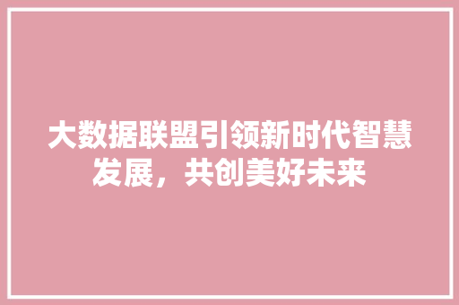 大数据联盟引领新时代智慧发展，共创美好未来