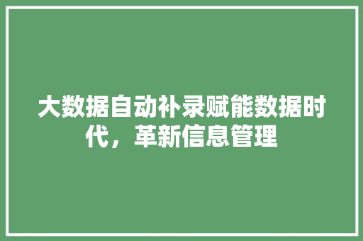 大数据自动补录赋能数据时代，革新信息管理
