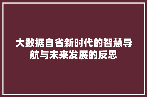 大数据自省新时代的智慧导航与未来发展的反思