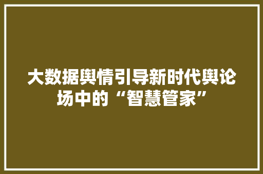 大数据舆情引导新时代舆论场中的“智慧管家”