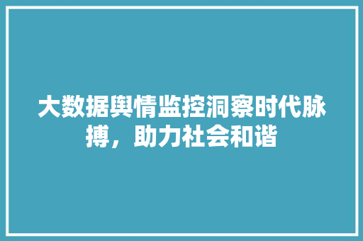 大数据舆情监控洞察时代脉搏，助力社会和谐