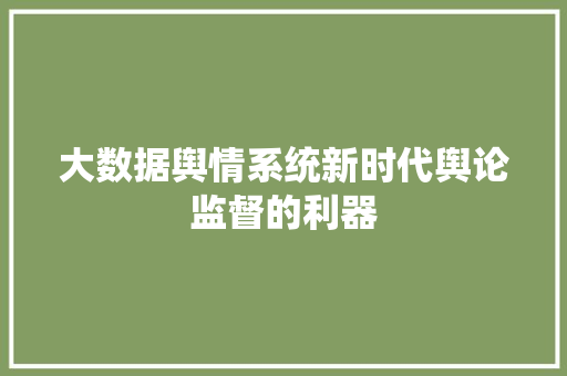 大数据舆情系统新时代舆论监督的利器