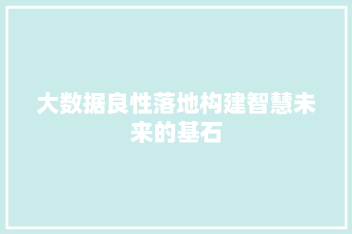 大数据良性落地构建智慧未来的基石