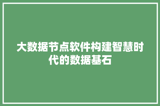 大数据节点软件构建智慧时代的数据基石