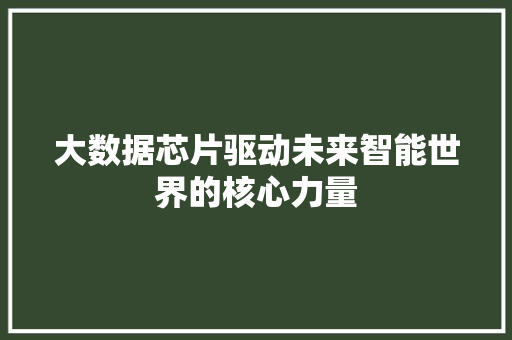 大数据芯片驱动未来智能世界的核心力量