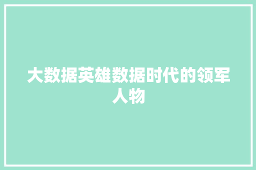 大数据英雄数据时代的领军人物