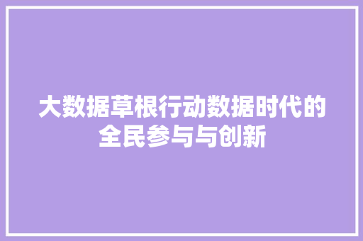 大数据草根行动数据时代的全民参与与创新
