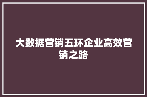大数据营销五环企业高效营销之路
