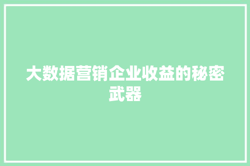大数据营销企业收益的秘密武器