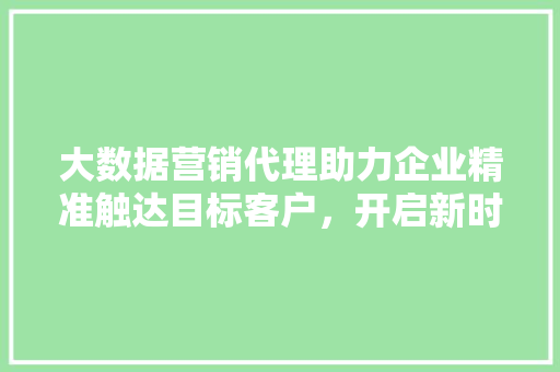 大数据营销代理助力企业精准触达目标客户，开启新时代营销新篇章