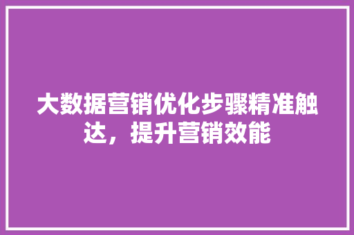 大数据营销优化步骤精准触达，提升营销效能