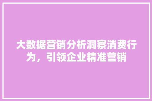 大数据营销分析洞察消费行为，引领企业精准营销