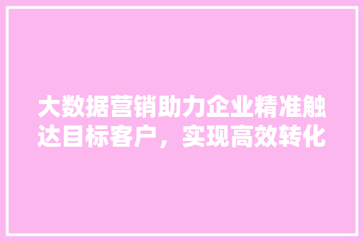 大数据营销助力企业精准触达目标客户，实现高效转化