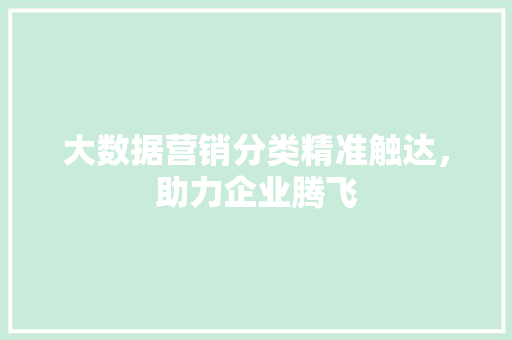 大数据营销分类精准触达，助力企业腾飞