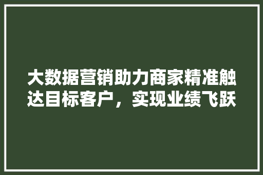 大数据营销助力商家精准触达目标客户，实现业绩飞跃