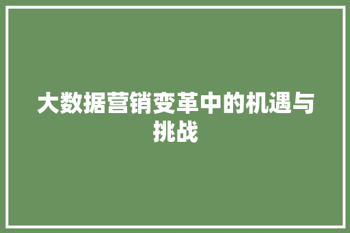 大数据营销变革中的机遇与挑战
