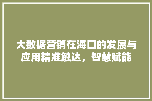 大数据营销在海口的发展与应用精准触达，智慧赋能
