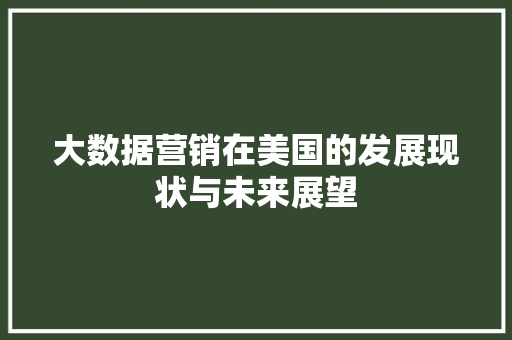 大数据营销在美国的发展现状与未来展望