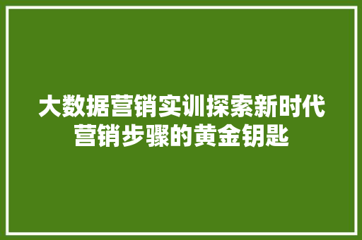 大数据营销实训探索新时代营销步骤的黄金钥匙