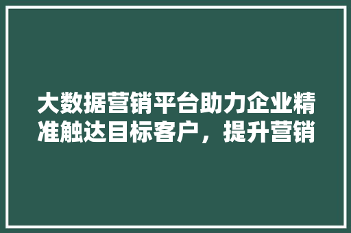大数据营销平台助力企业精准触达目标客户，提升营销效率