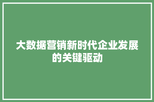 大数据营销新时代企业发展的关键驱动