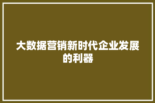 大数据营销新时代企业发展的利器