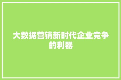大数据营销新时代企业竞争的利器