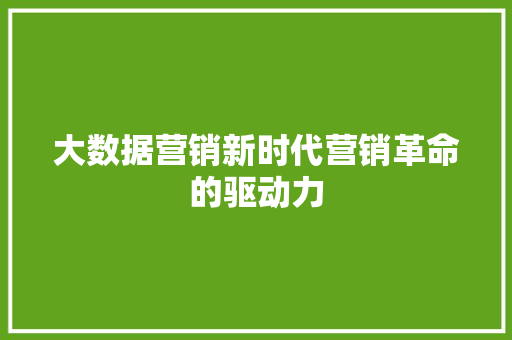 大数据营销新时代营销革命的驱动力