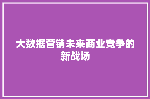 大数据营销未来商业竞争的新战场