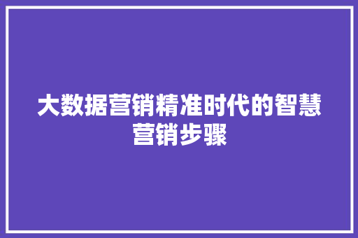 大数据营销精准时代的智慧营销步骤