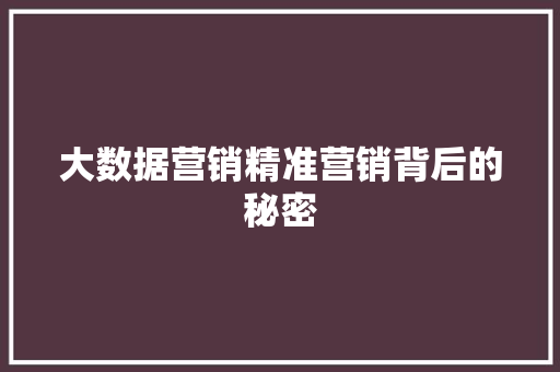 大数据营销精准营销背后的秘密
