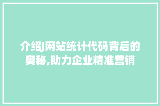 介绍J网站统计代码背后的奥秘,助力企业精准营销 后端技术