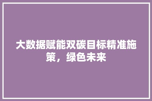大数据赋能双碳目标精准施策，绿色未来