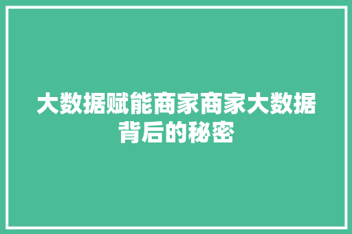 大数据赋能商家商家大数据背后的秘密