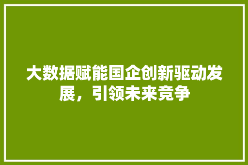 大数据赋能国企创新驱动发展，引领未来竞争