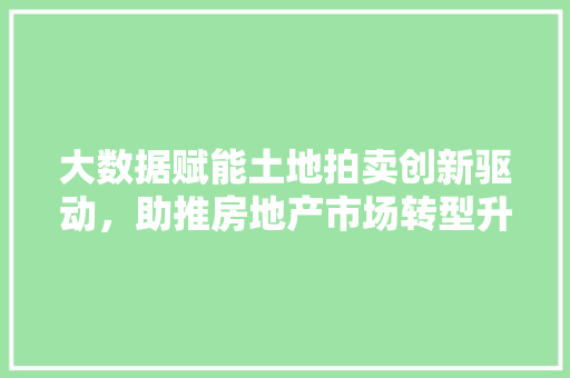大数据赋能土地拍卖创新驱动，助推房地产市场转型升级